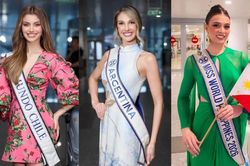 Nhan sắc dàn thí sinh đầu tiên có mặt tại Việt Nam dự thi Miss World 2026