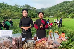 Bí thư, Chủ tịch xã livestream quảng bá nông sản cùng người dân