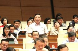 Đại biểu Quốc hội đề nghị xác định rõ 'biên giới' của Luật Xuất bản trên không gian mạng