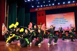 Hơn 300 VĐV hội tụ, tỏa sáng tinh hoa võ Việt