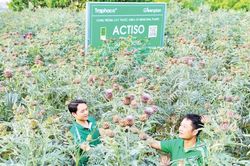 'Đòn bẩy'cho công nghiệp dược liệu