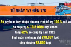 [Video] Thành phố Hồ Chí Minh hướng tới giao thông công cộng 'một chạm'