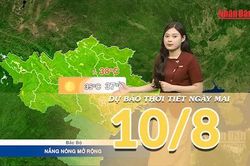 [Video] Dự báo thời tiết đêm nay và ngày mai ngày 10/8/2026: Nắng nóng bao trùm Bắc Bộ, Trung Bộ