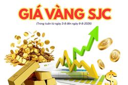 Biến động giá vàng SJC tuần qua: Tăng rất mạnh