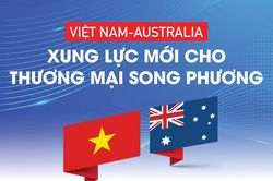 Việt Nam - Australia: Xung lực mới cho thương mại song phương