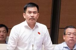 Mạng xã hội, nền tảng số phải có trách nhiệm tuyên truyền pháp luật