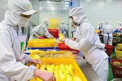 Đắk Lắk đào tạo nhân lực từ yêu cầu thực tiễn