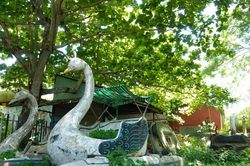 Cận cảnh 'Đà Lạt miền Tây' hoang tàn sau nhiều năm đóng cửa