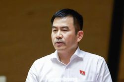 Từ hiện tượng giang hồ mạng, đại biểu Quốc hội đặt c&acirc;u hỏi về tr&aacute;ch nhiệm