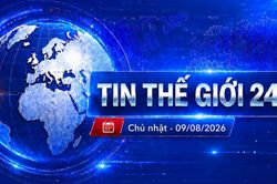 Tin tức Thế giới 9/8: Elon Musk hạn chế Starlink ở Ukraine, ông Trump ra đòn thuế mới