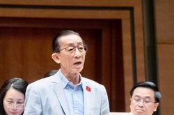Đại biểu Quốc hội: Bài học từ Ngân hàng SCB là rất lớn