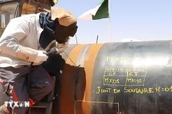 Đường ống xuyên Sahara-bước tiến mới trong liên kết năng lượng châu Phi