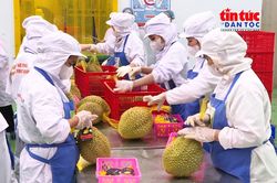 Tạo đà cho nông sản Việt - Bài 1: Đổi mới tư duy tăng trưởng