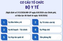 Cơ cấu tổ chức của Bộ Y tế