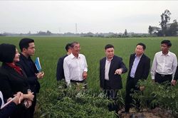 Đồng ch&iacute; Xaysomphone Phomvihane v&agrave; những đ&oacute;ng g&oacute;p to lớn cho quan hệ đặc biệt Việt Nam - L&agrave;o