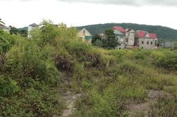 Cận cảnh khu chợ cũ hơn 10.000m2 bỏ hoang nhiều năm, cỏ mọc um tùm