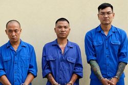 Từ vụ bắt 'giang hồ mạng', ĐBQH đề nghị quy định tr&aacute;ch nhiệm của nền tảng số