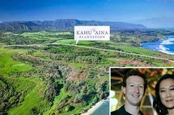 Bên trong "pháo đài" 300 triệu USD của Mark Zuckerberg: Tỷ phú nuôi bò bằng bia, xây hầm chống tận thế