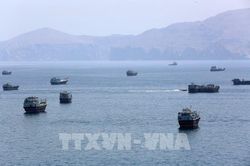 Vận tải biển toàn cầu tăng mạnh bất chấp căng thẳng địa chính trị