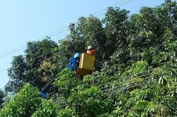 Lịch cắt điện Khánh Hòa (Nha Trang) ngày mai 10/8 cập nhật mới nhất
