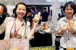 Khai mạc Ngày Quốc tế Thanh niên 2026 tại Việt Nam