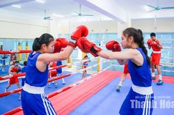 Boxing vươn lên từ chiến lược đầu tư dài hạn