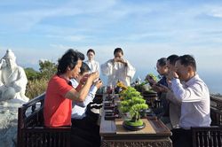 Uống trà trên đỉnh Bàn Cờ:Hướng đi mới của du lịch Việt