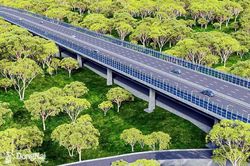 Triển khai thi công hạng mục cọc thí nghiệm tuyến đường trên cao xuyên rừng Mã Đà