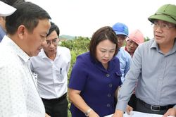 Chủ tịch UBND tỉnh Phạm Anh Tuấn kiểm tra các công trình, dự án tại xã Vân Canh và Canh Vinh
