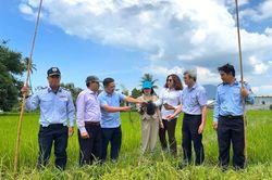 Ph&aacute;t hiện, xử l&yacute; 15 vụ giăng lưới t&agrave;ng h&igrave;nh săn bắt chim yến v&agrave; chim hoang d&atilde;