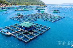 Hiến kế, định hướng mô hình phát triển