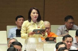 Đại biểu Quốc hội C&agrave; Thị Thắm đề nghị minh bạch việc sử dụng AI trong xuất bản