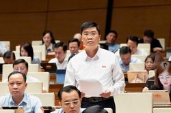 Đại biểu Quốc hội tỉnh góp ý dự án Luật Phòng, chống phổ biến vũ khí hủy diệt hàng loạt