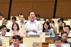 Đại biểu Quốc hội tỉnh góp ý dự án Luật Phổ biến, giáo dục pháp luật (sửa đổi)