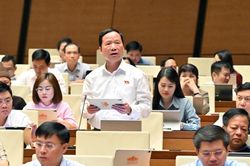 Đại biểu Quốc hội tỉnh g&oacute;p &yacute; dự &aacute;n Luật Phổ biến, gi&aacute;o dục ph&aacute;p luật (sửa đổi)