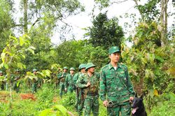 Những 'chiến sĩ bốn chân' của lính quân hàm xanh