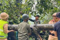 Lâm Đồng kịp thời xử lý gãy cây, sạt lở, bảo đảm giao thông thông suốt