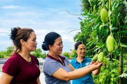 Hội Phụ nữ xã Nghĩa Lâm đồng hành cùng hội viên phát triển kinh tế