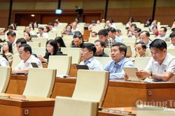 Đoàn đại biểu Quốc hội tỉnh thảo luận tại hội trường về các dự án luật