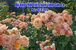 Dự báo thời tiết toàn tỉnh Sơn La ngày 10/8/2026Dự báo thời tiết toàn tỉnh Sơn La ngày 10/8/2026