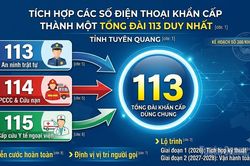 Tích hợp các số điện thoại khẩn cấp 113, 114, 115 thành một tổng đài 113 duy nhất