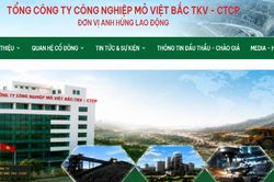 Mỏ Việt Bắc báo lỗ quý II, lợi nhuận 6 tháng giảm 81%