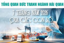 Infographics: Tổng quan bức tranh ngành Hải quan 7 tháng năm 2026 qua các con số