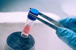 Hà Nội: Cảnh báo sử dụng các sản phẩm, chế phẩm sinh học từ tế bào gốc
