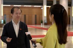 H&agrave;nh lang Nghị trường: Đưa xuất bản thực sự trở th&agrave;nh ng&agrave;nh c&ocirc;ng nghiệp văn h&oacute;a