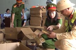 Hà Nội tăng cường kiểm tra an toàn thực phẩm dịp Trung thu 2026