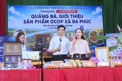 Chủ tịch xã livestream bán hàng giúp nông dân