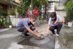 Phường Hai Bà Trưng chủ động phòng sốt xuất huyết