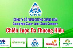 Cổ đông của Đường Quảng Ngãi (QNS) sắp nhận được hơn 367 tỷ đồng tiền trả cổ tức