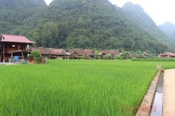 Tập trung chăm sóc cây trồng vụ hè thu